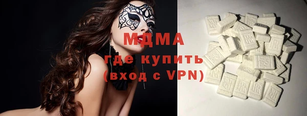гашик Каменка
