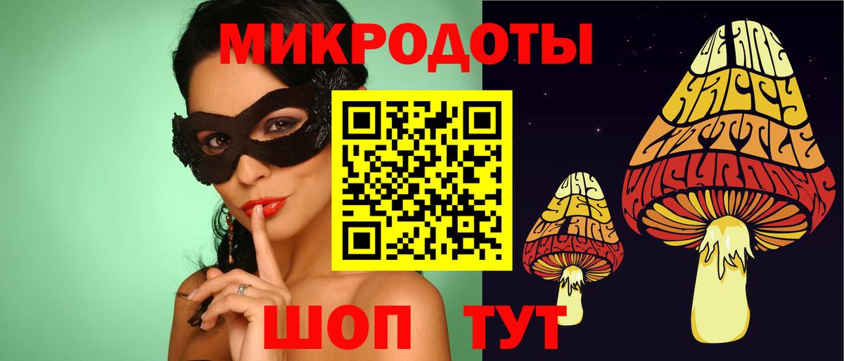 Псилоцибиновые грибы Cubensis Прохладный