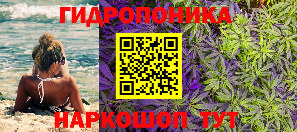 Прохладный  Марихуана VHQ  Вход с VPN  Бошки марихуана LSD WEED 